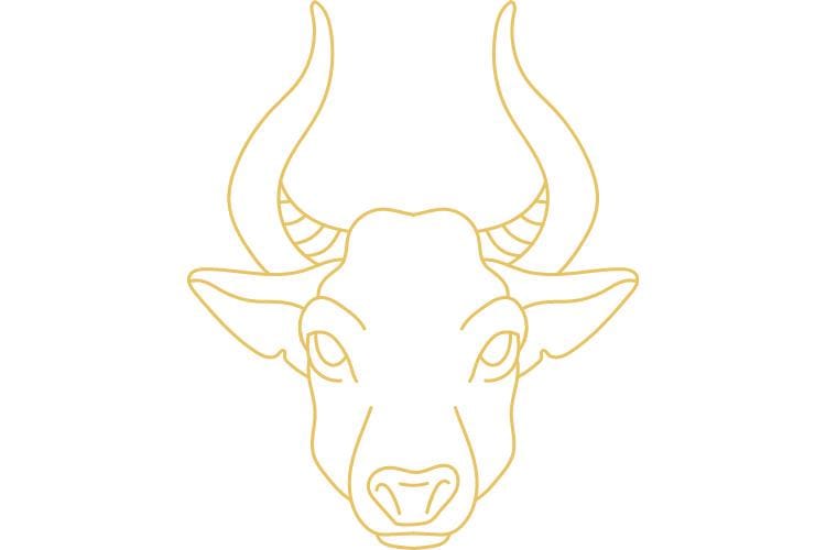 canva.com