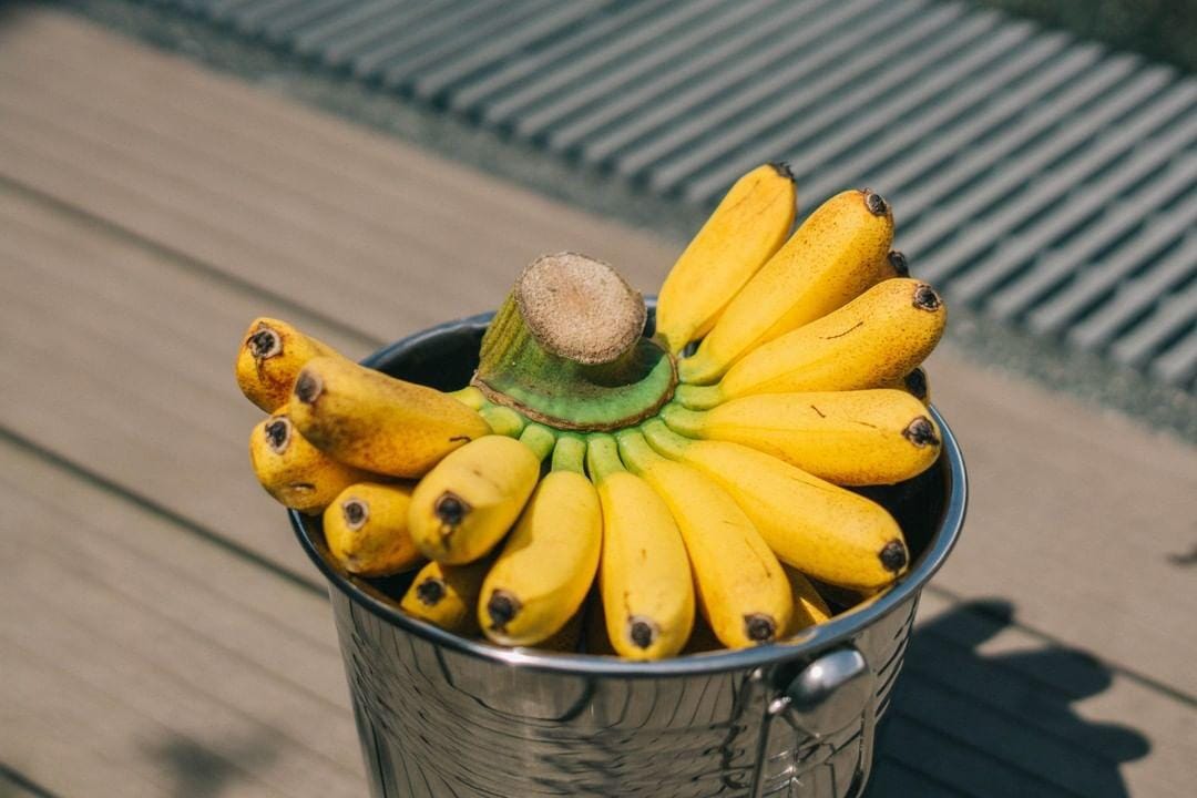 instagram.com/ sukalarang_farm