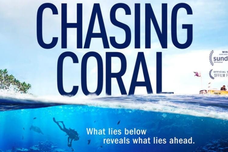 chasingcoral.com