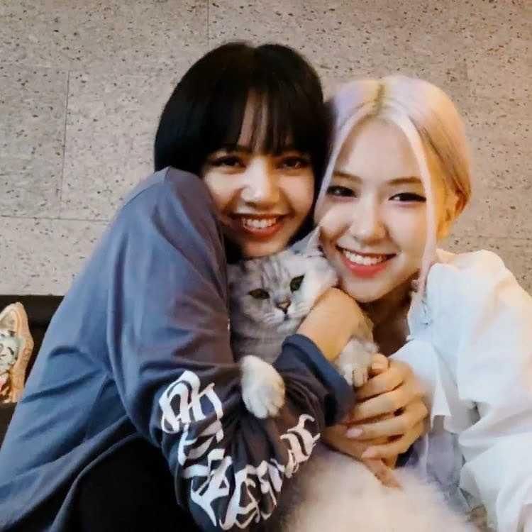 Instagram.com/chaelisa.are