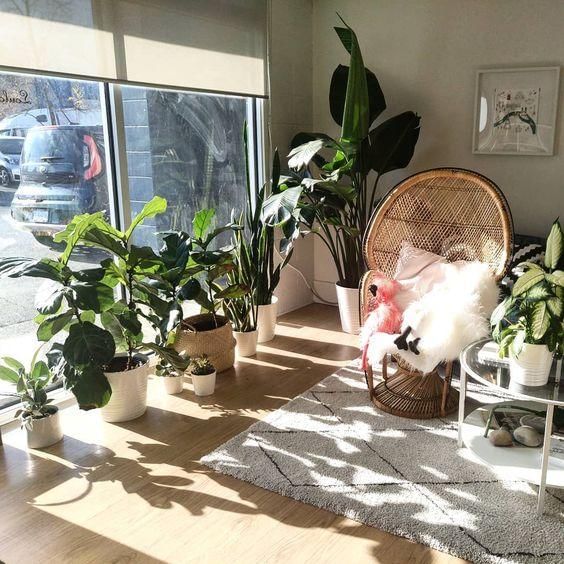 youhadmeatgardening.com