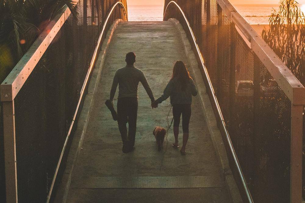 Unsplash.com/Shea Rouda