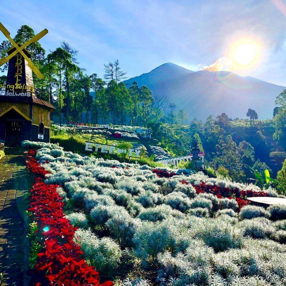instagram.com/tamanedelweis_bali