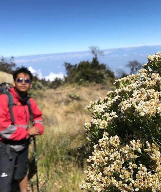 instagram.com/penikmatsegalanya.id