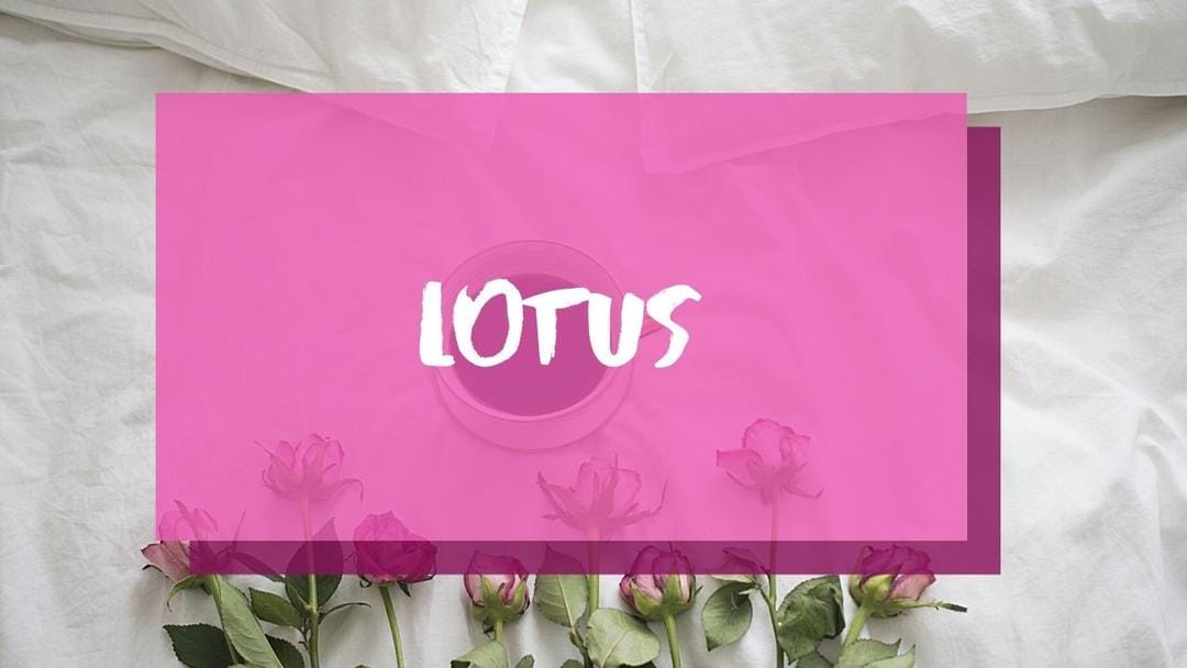 Canva.com/Andhina Effendi