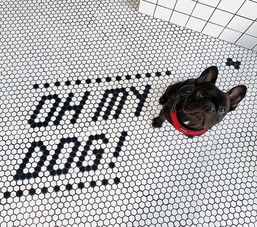 instagram.com/ bobachiadashi