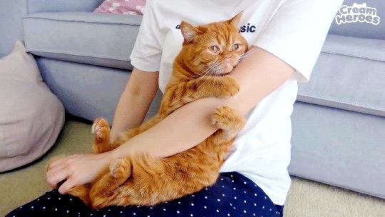 tumblr.com