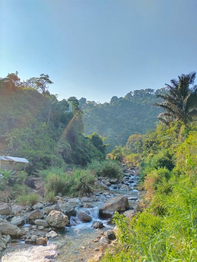 popbela.com/AyuUtami