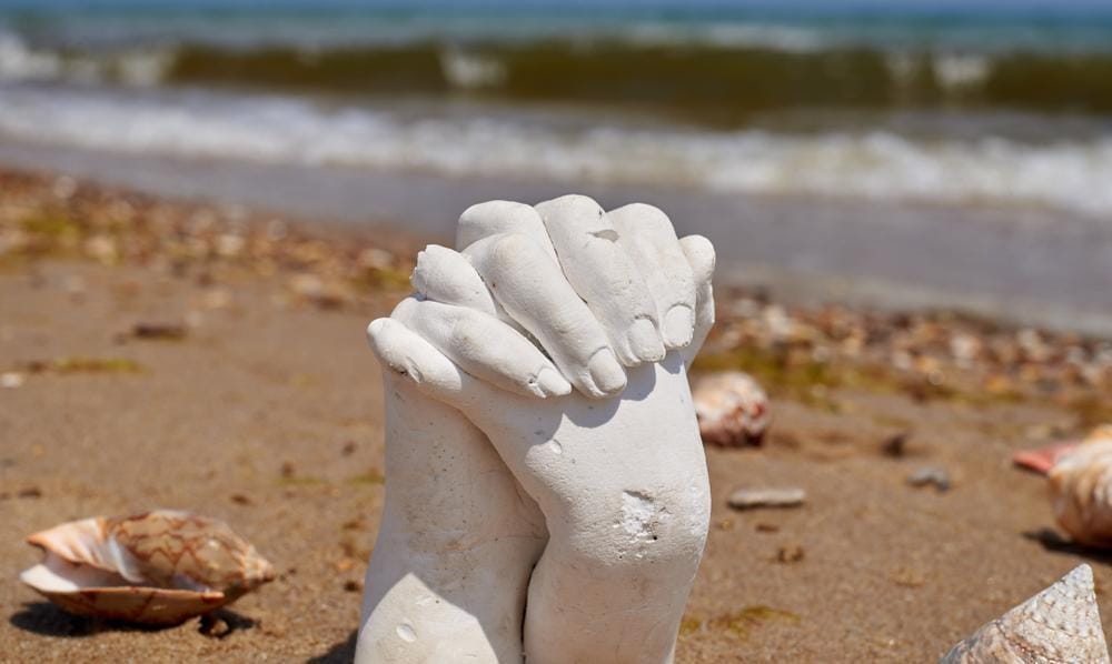 Shutterstock/Zapylaieva Hanna