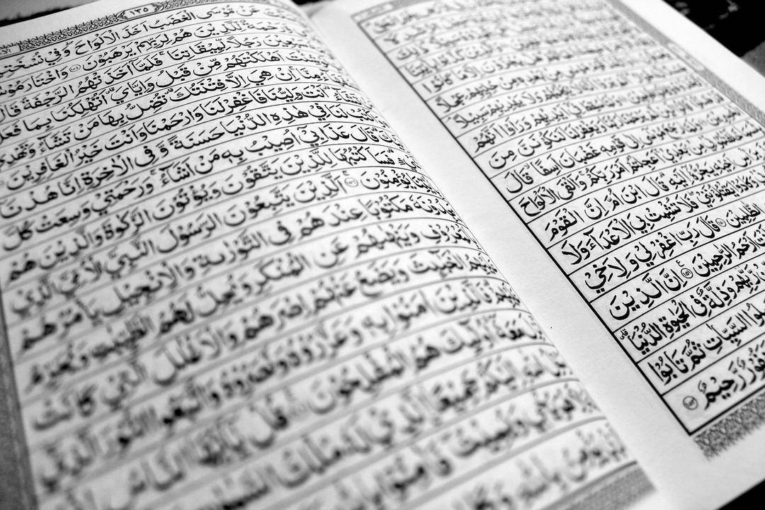 Pixabay.com/Mohammad Trilaksono