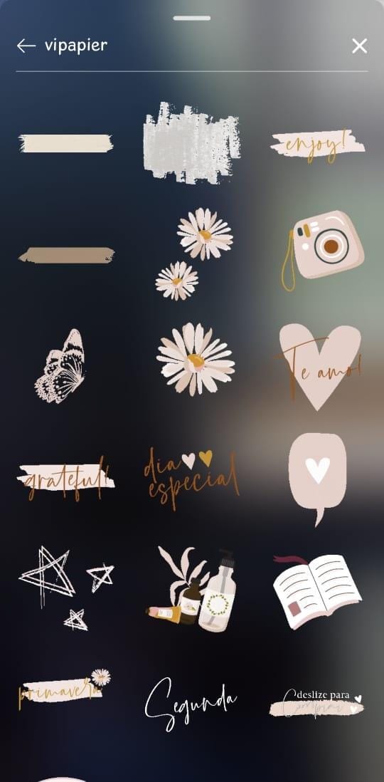 Instagram Screenshoot