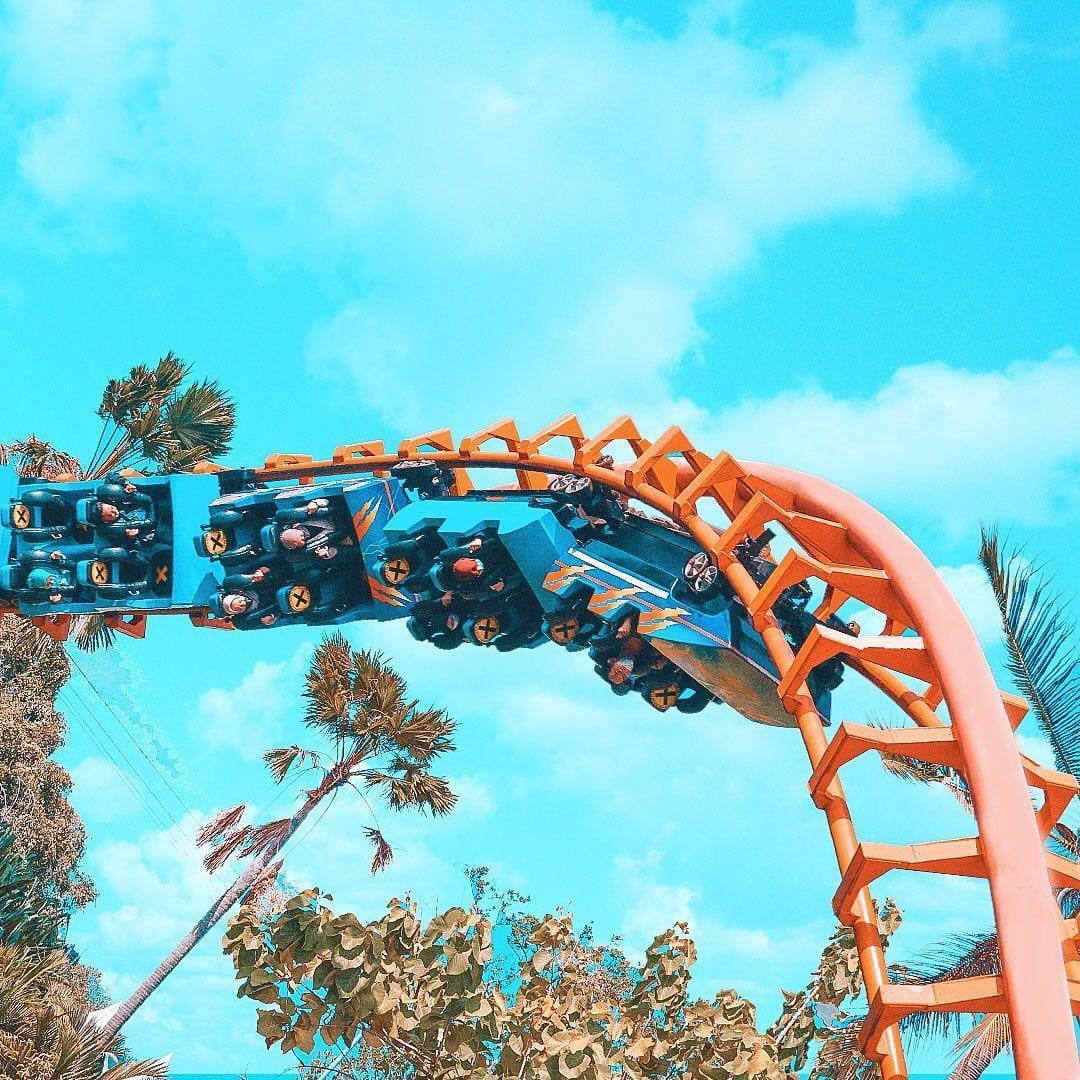 Instagram.com/ancoltamanimpian