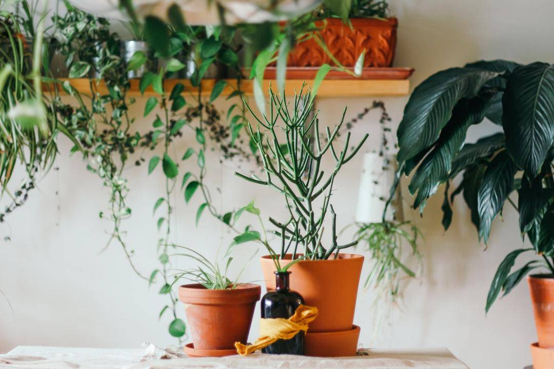 Unsplash.com/Brina Blum