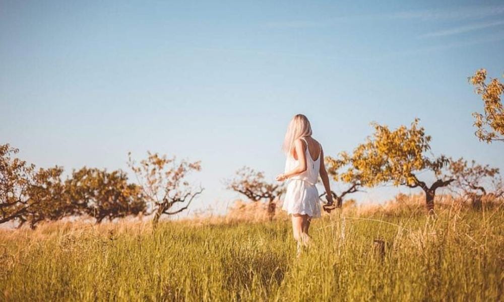 Pinterest.com/Picjumbo