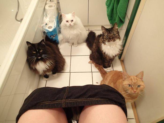 boredpanda.com/ chefjessphd
