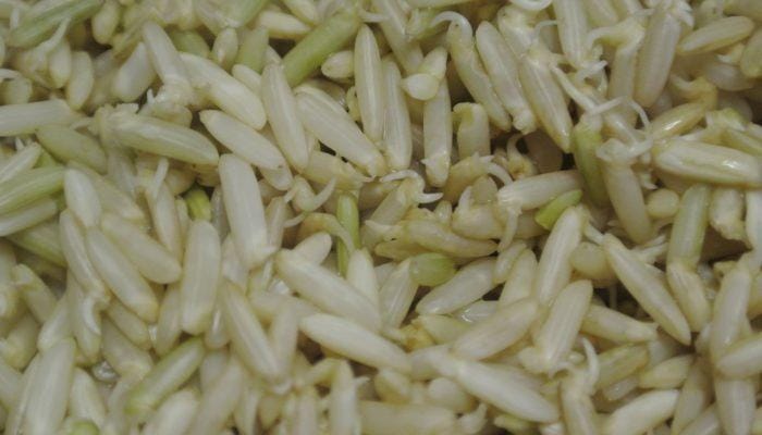 starknakedhealth.com