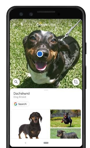 Dok. Google Indonesia