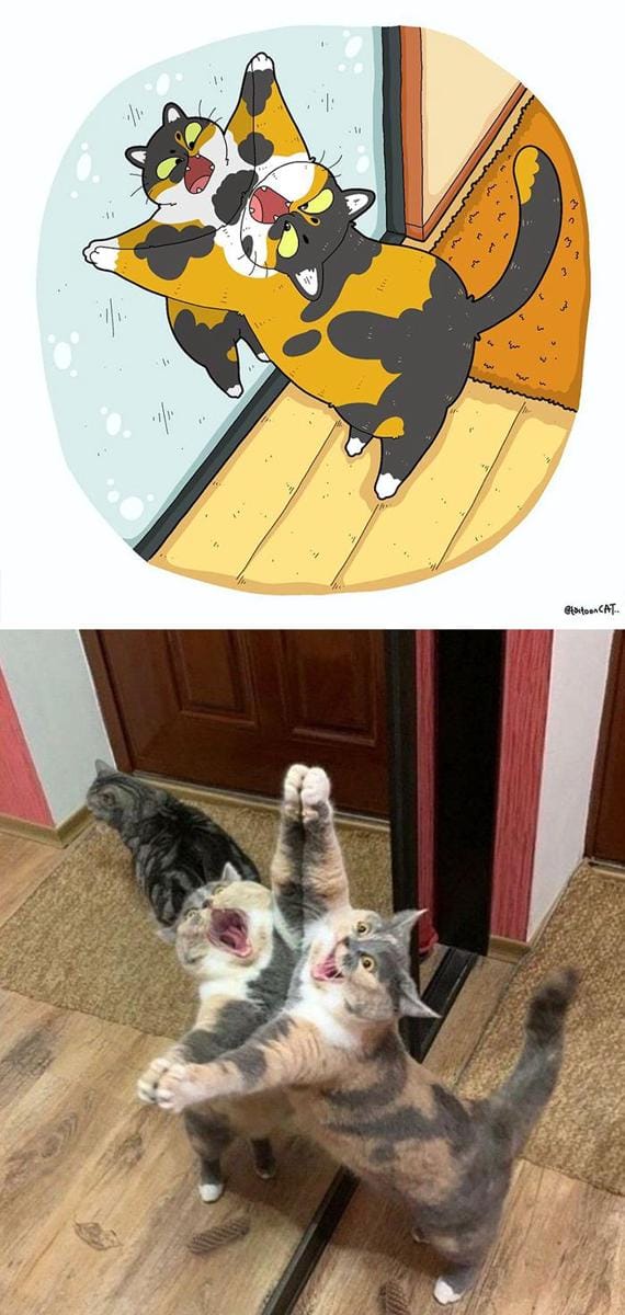 boredpanda.com