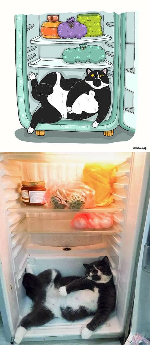Instagram.com/tactooncat