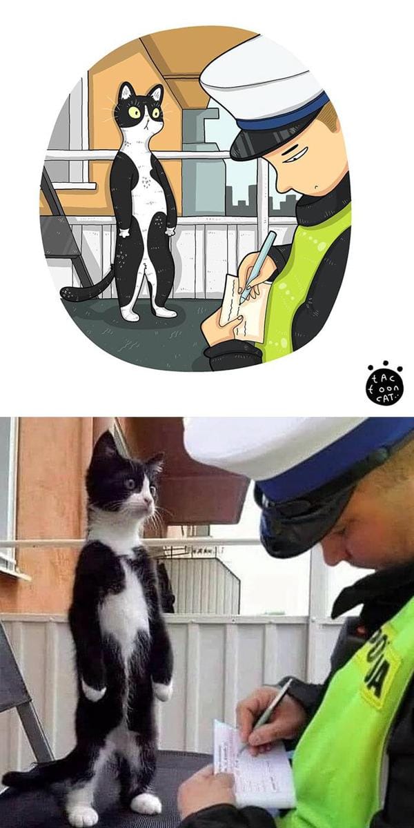Instagram.com/tactooncat