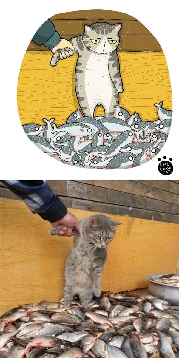 Instagram.com/tactooncat