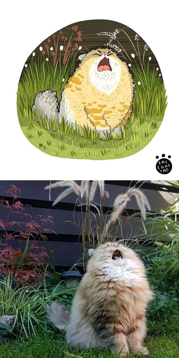 boredpanda.com