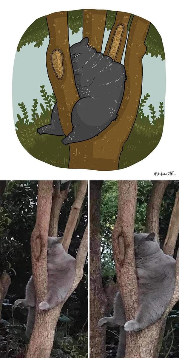 Instagram.com/tactooncat
