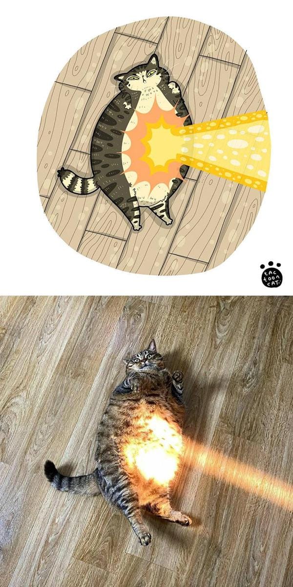boredpanda.com