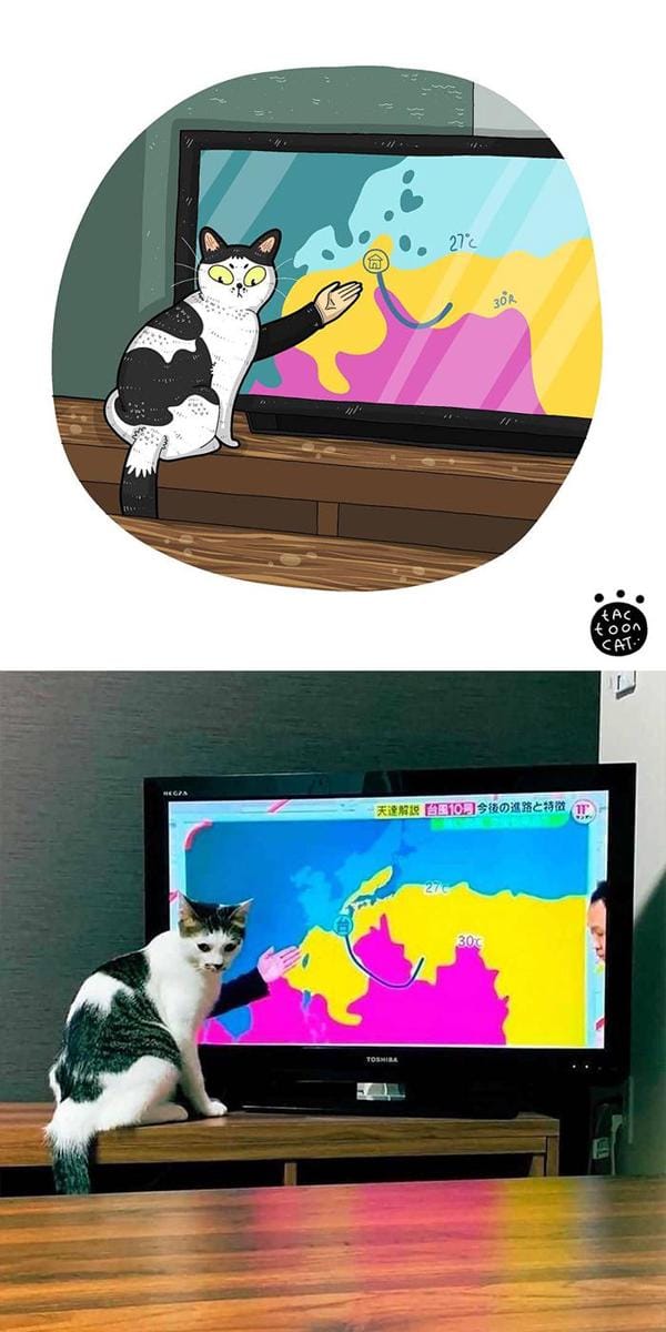 Instagram.com/tactooncat