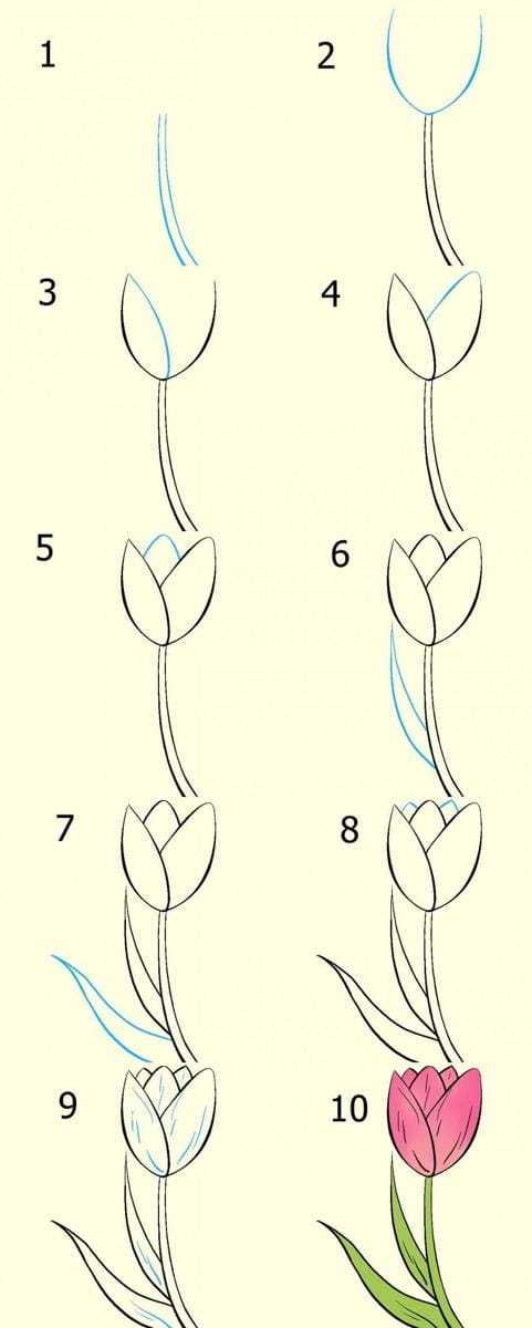 Easydrawingguides.com
