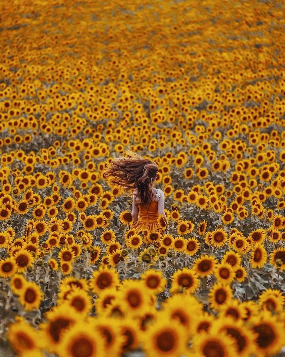 Instagram.com/ hobopeeba