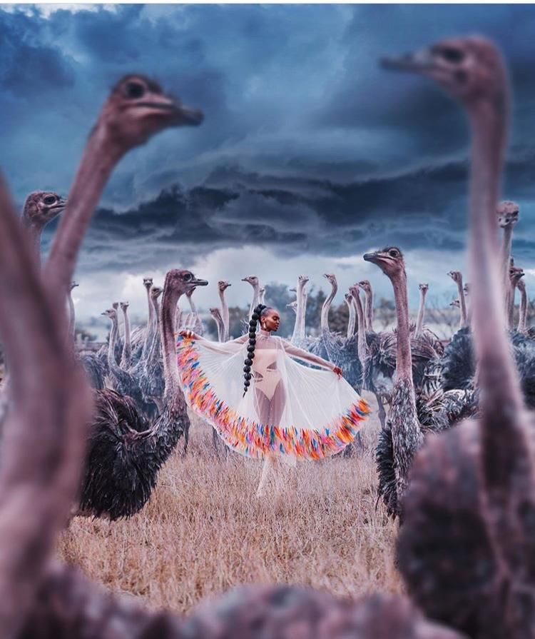 Instagram.com/hobopeeba