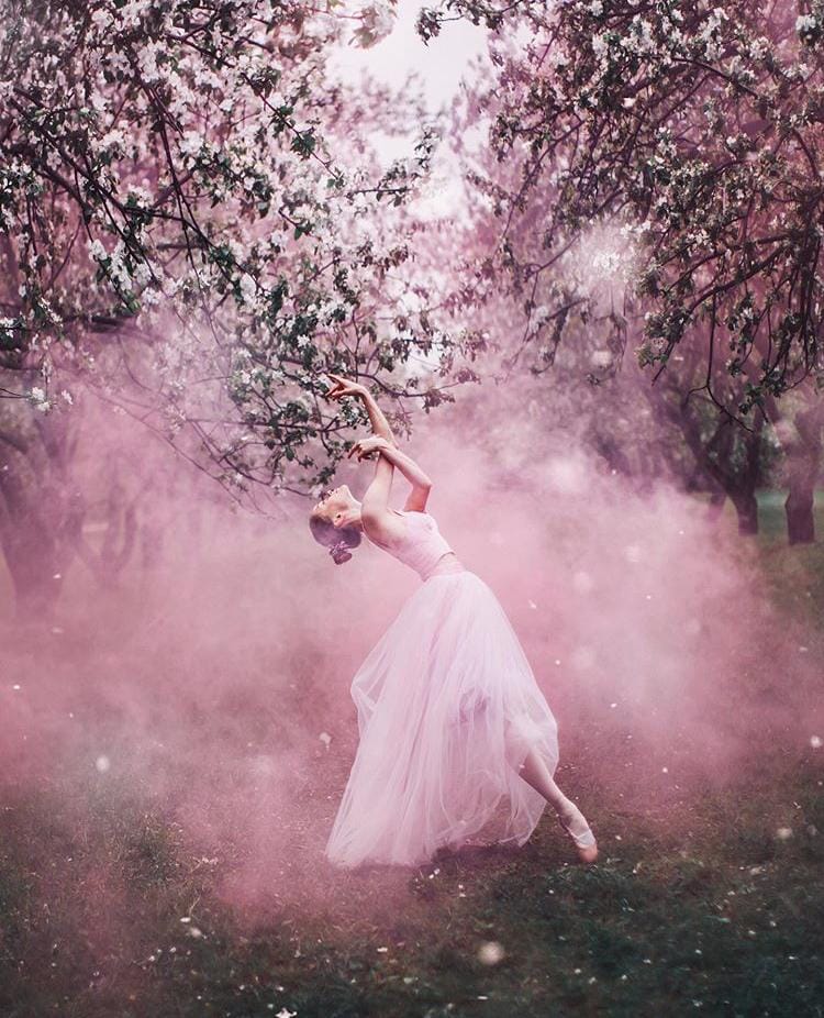 Instagram.com/hobopeeba