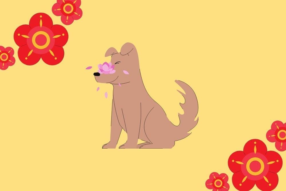 Canva.com/Andhina Effendi