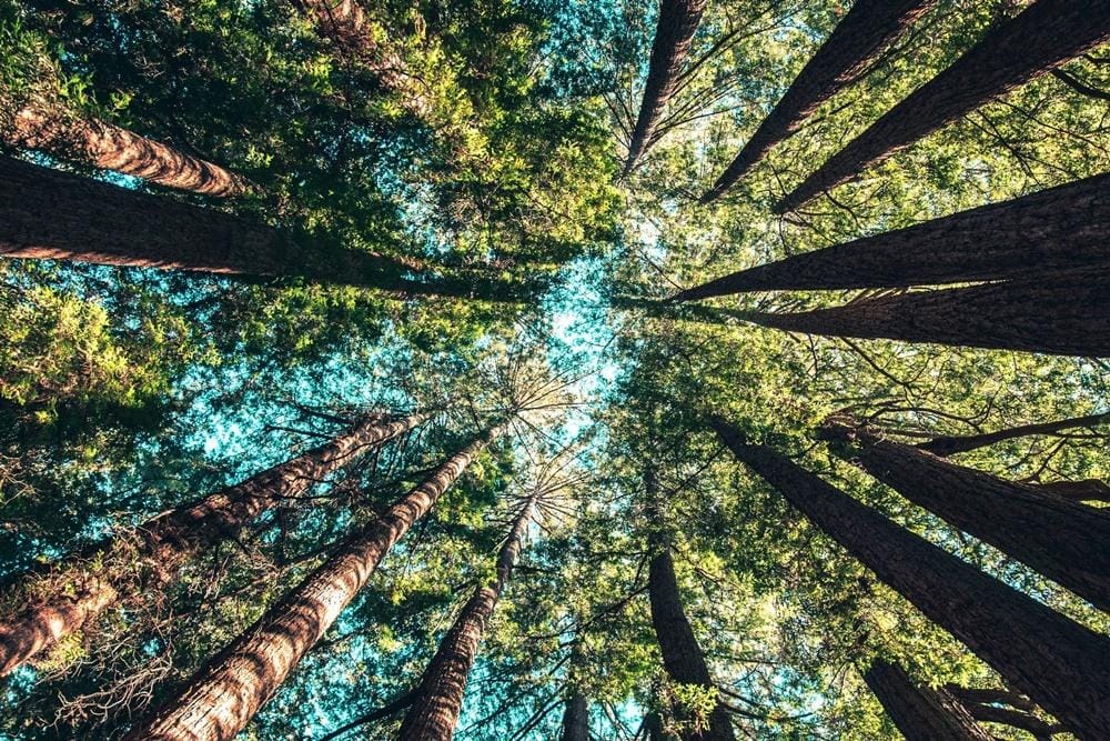 Unsplash.com/Casey Horner