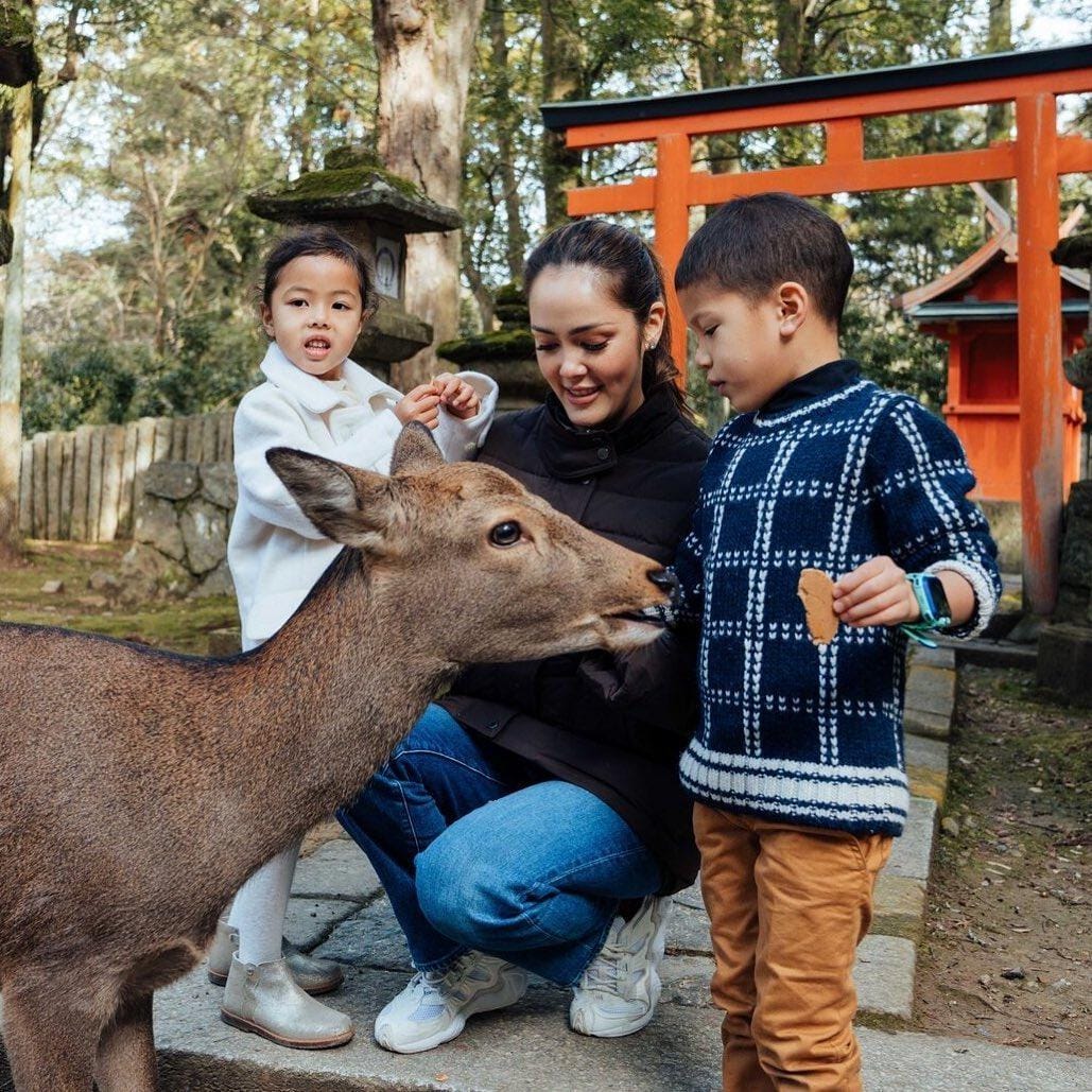 Instagram.com/cathysharon