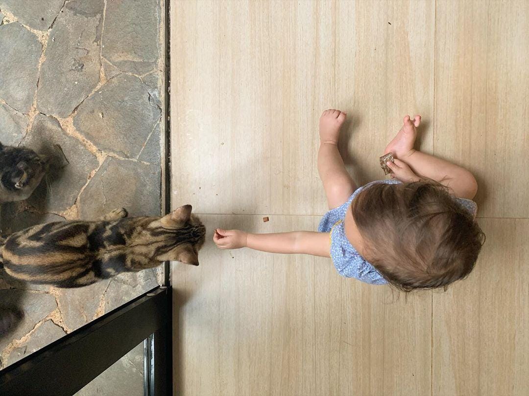 instagram.com/raisa6690/