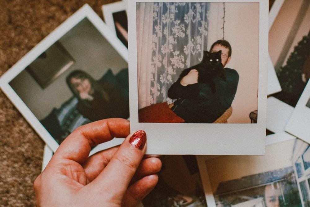 Pexels.com/Lisa Fotios