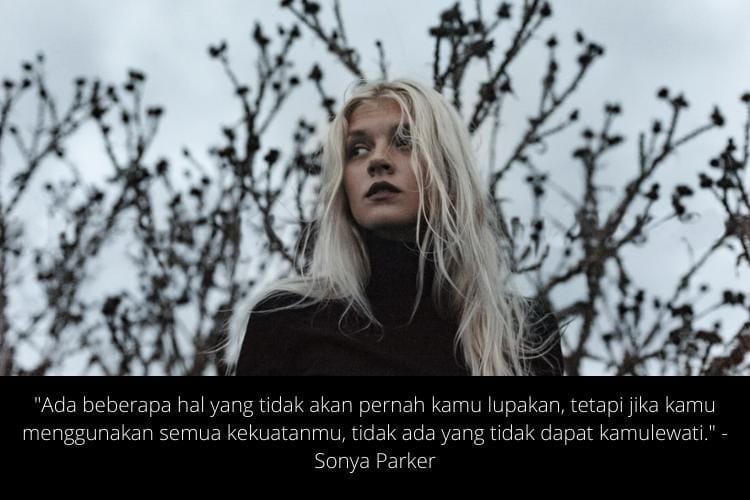 unsplash.com/@antomalani