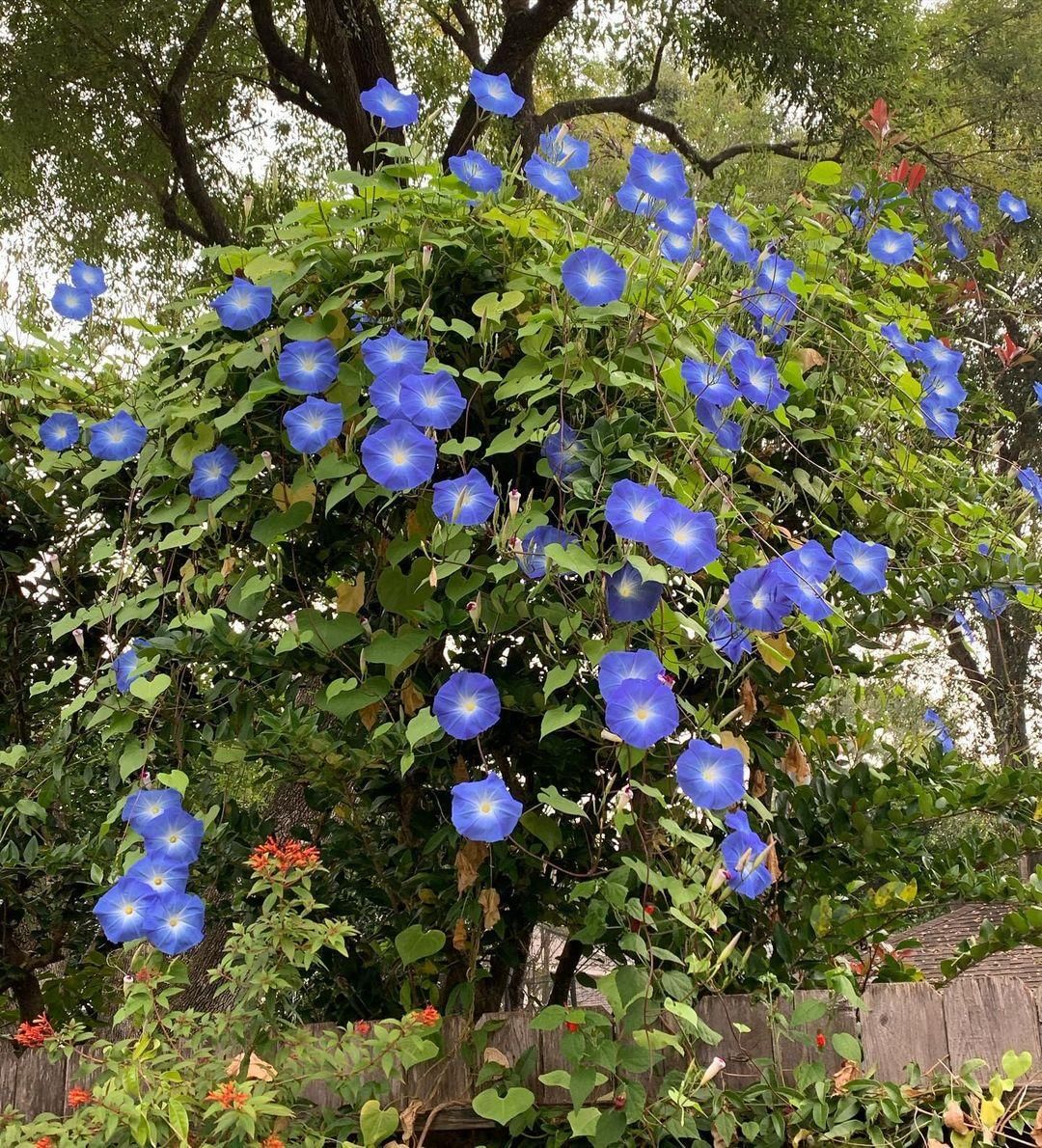 instagram.com/ ljv1968