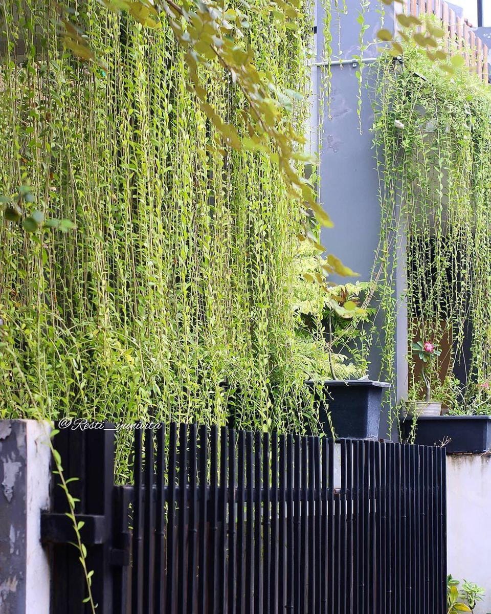 instagram.com/ resti_yunivita