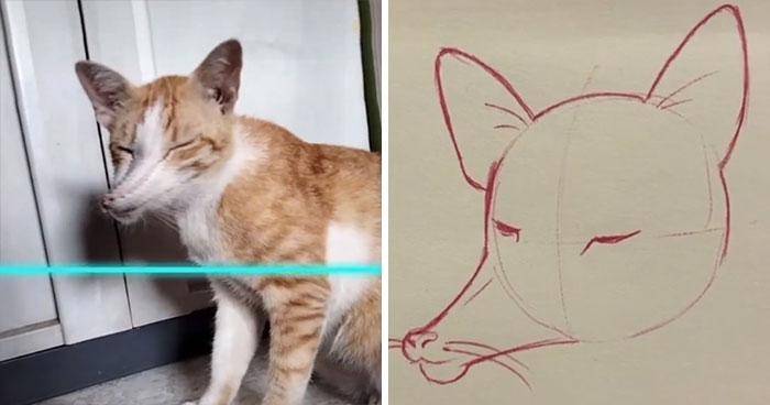 tiktok.com/@kittishdraws