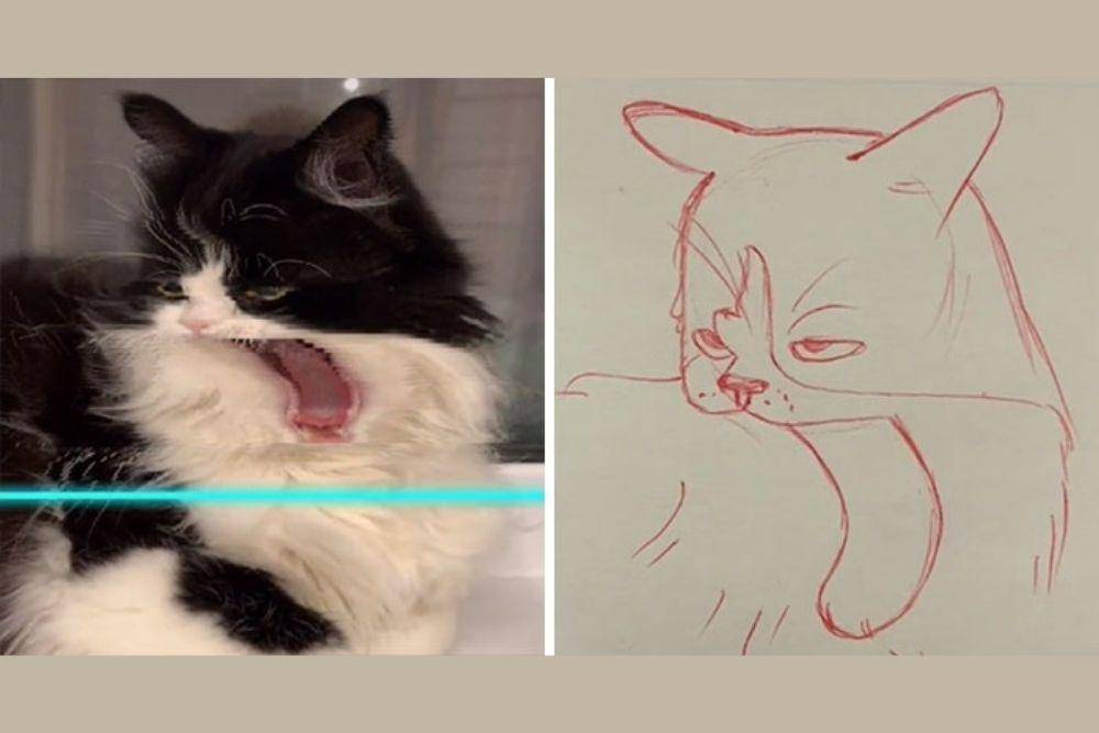 tiktok.com/@kittishdraws