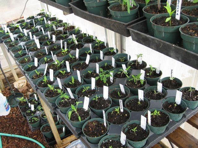 Farmerfradrant.blogspot.com