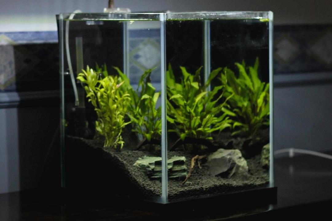 Unsplash.com/Karl Muscat