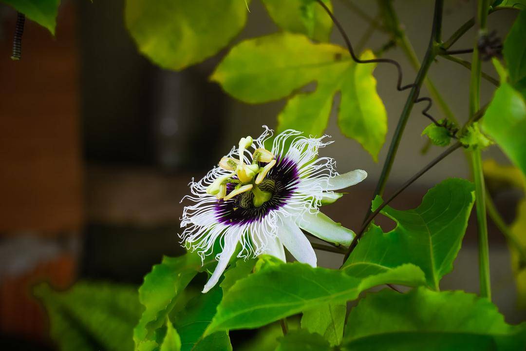 Unsplash.com/Andre Fernando
