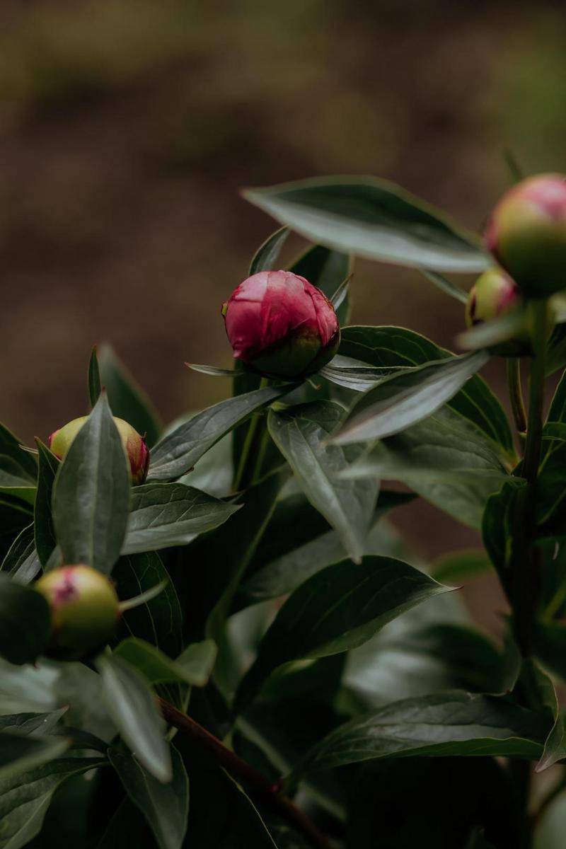 Unsplash.com/Taisiia Shestopal