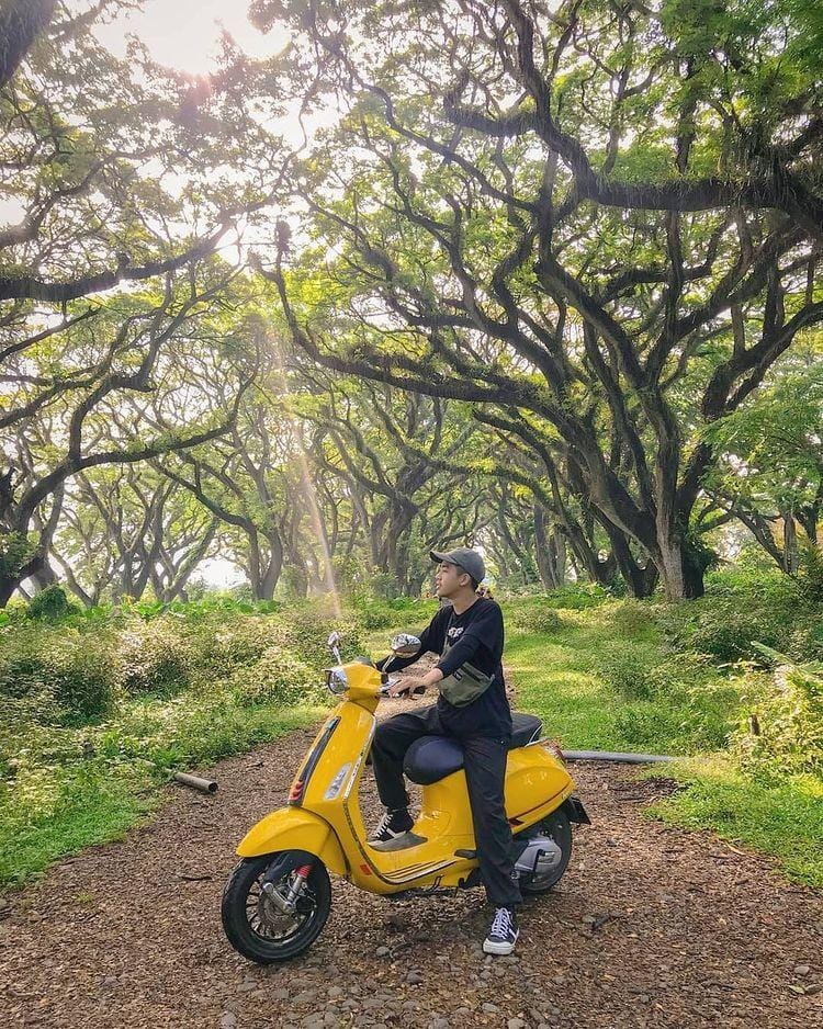 instagram.com/ albaaarrrrrrrr