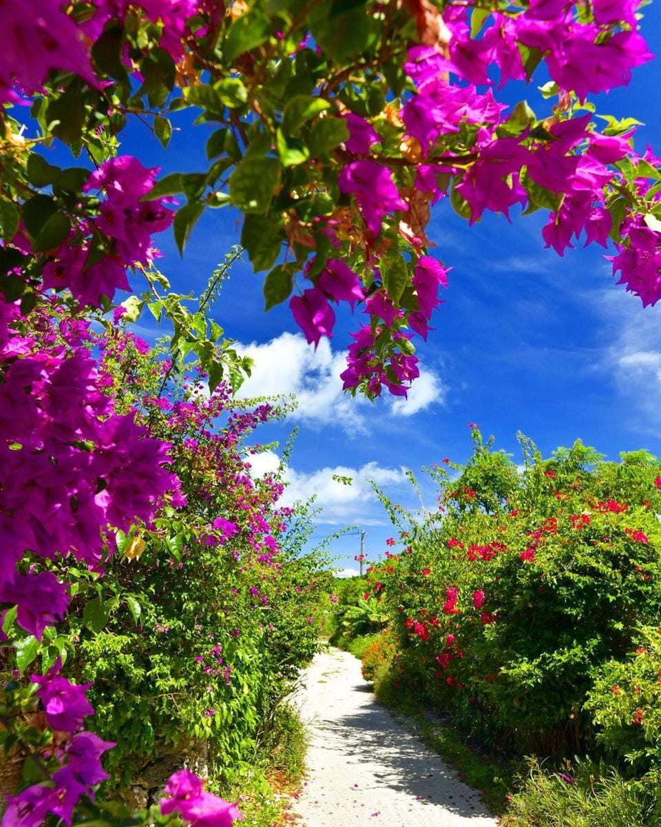 instagram.com/ kiyotaka_kitajima_photo