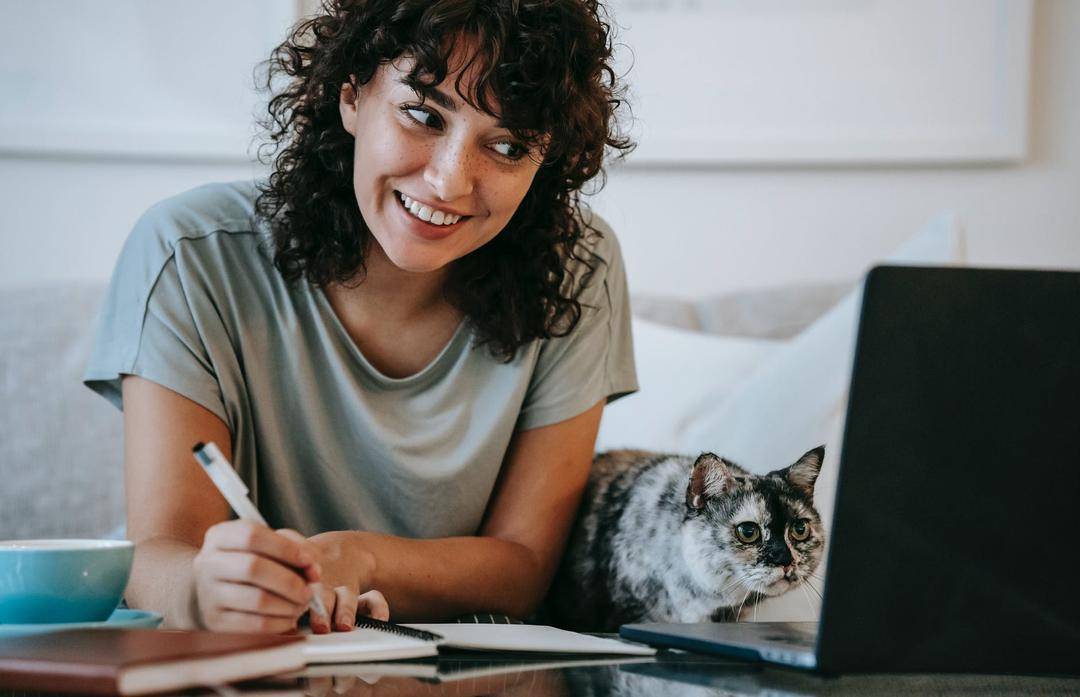 https://www.pexels.com/@sam-lion